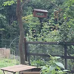 شاليه Il Ciabot Del Bosco Frassino (Cuneo)