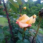 Il Ciabot Del Bosco شاليه