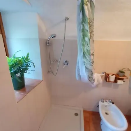 Il Ciabot Del Bosco בקתה