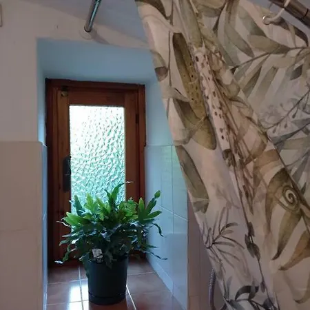Il Ciabot Del Bosco 木屋 Frassino (Cuneo)
