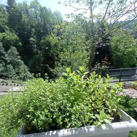 Il Ciabot Del Bosco *