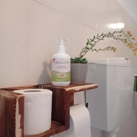 Il Ciabot Del Bosco 木屋 *