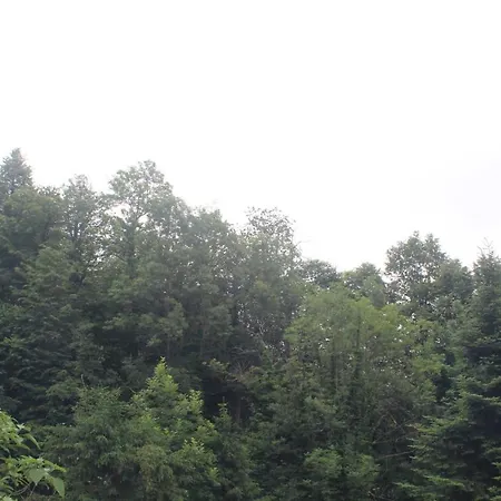Il Ciabot Del Bosco Chalé Frassino