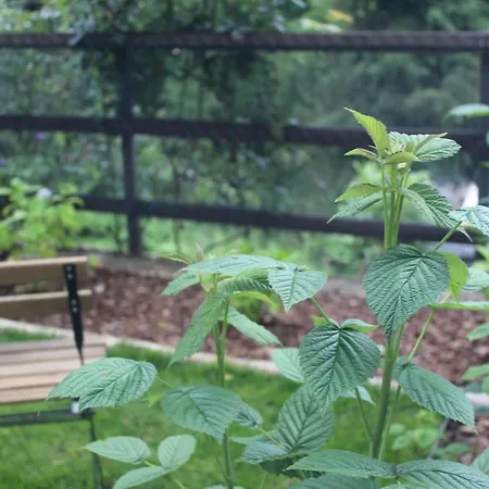 בקתה Il Ciabot Del Bosco *