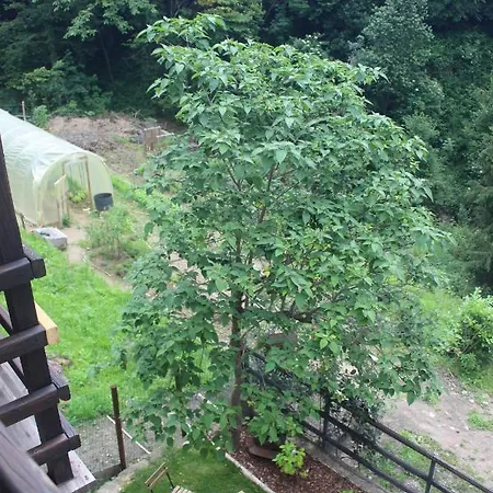 Il Ciabot Del Bosco * Frassino