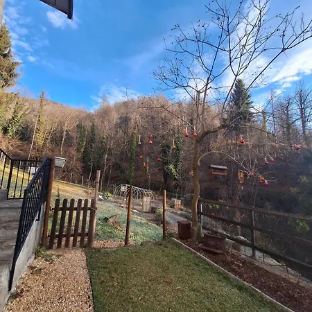 Il Ciabot Del Bosco